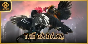 the-ga-da-xa